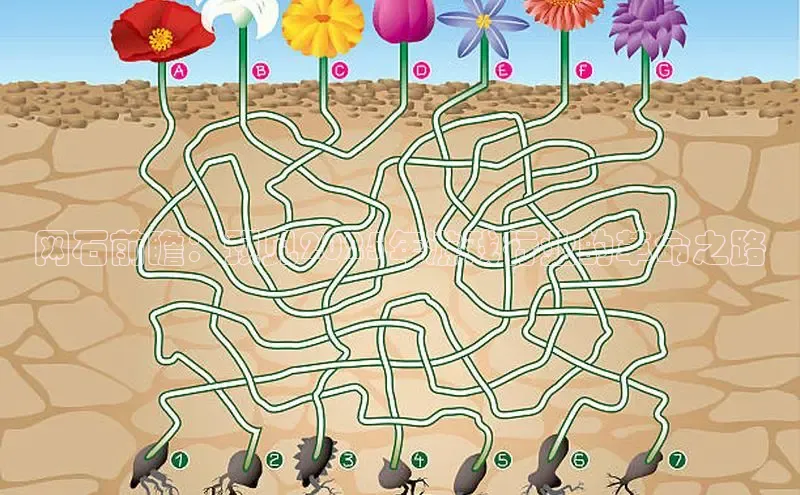 乐虎电子国际唯一